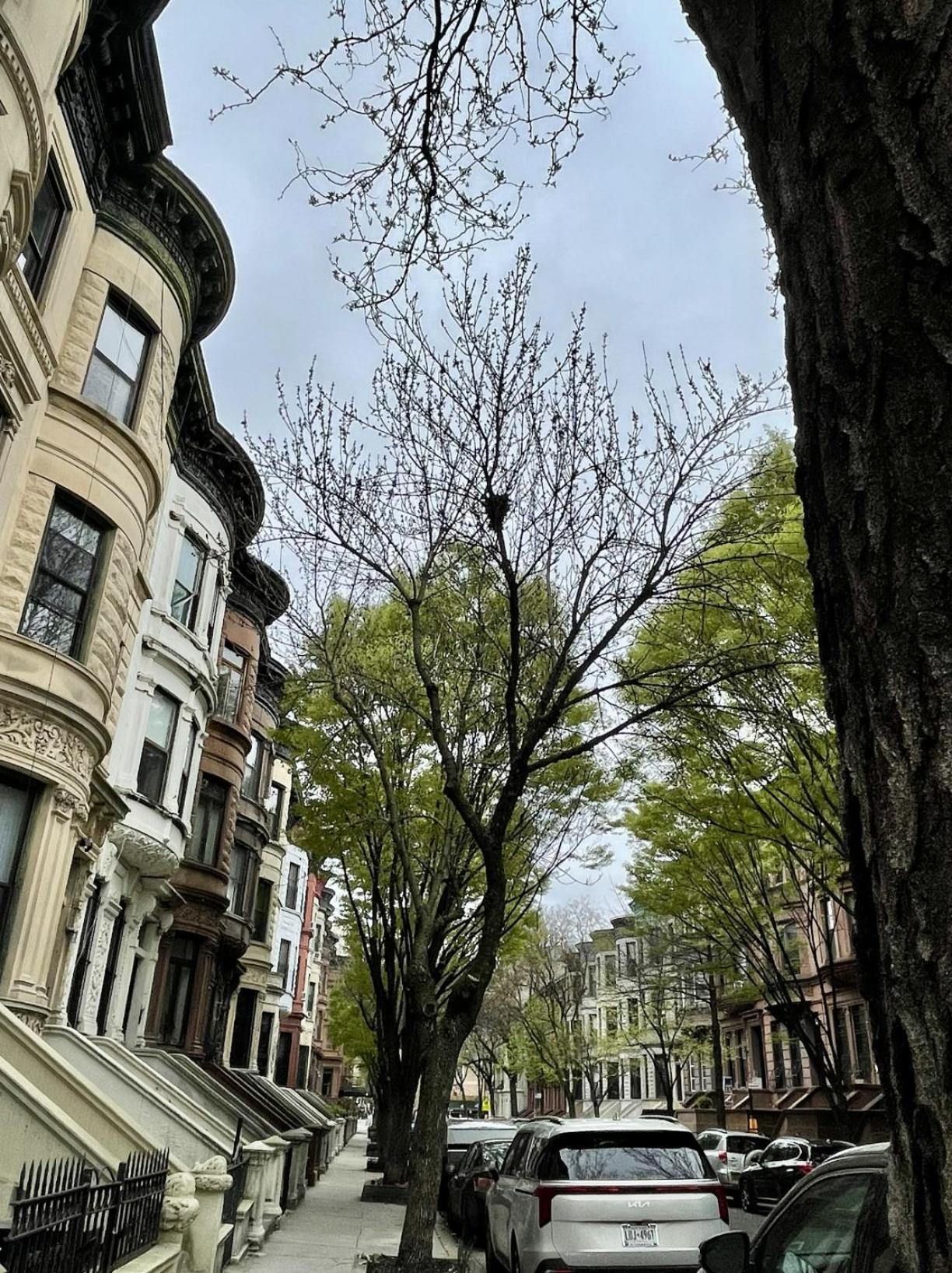Nyc Townhouse Apartment Ню Йорк Екстериор снимка